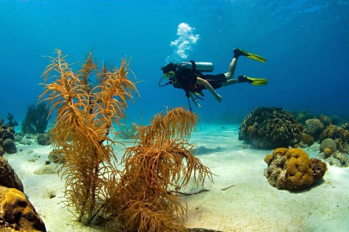 Marmaris Scuba Diving Tour – Full‑Day Underwater Adventure