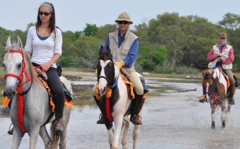 Marmaris Horse Riding Tour – Scenic Adventure Through Nature